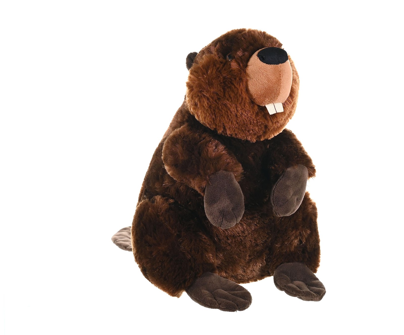 Castor en peluche Cuddlekins, le doudou câlin des petits