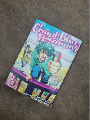 Grand Blue Dreaming 17 (Paperback)