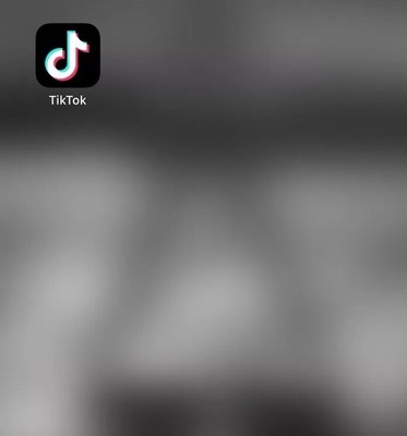 TikTok iPhone 13 Pro Max