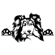 Peeking Shetland Sheepdog Decal Sheltie Collie Tumbler Car Sticker
