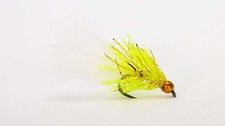 Flash Cat Yellow