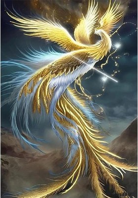 DCIDBEI Diamond Painting Phönix 40x60 cm Diamant Malerei Kits Erwachsene 