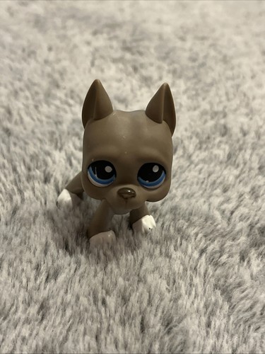 Vídeos de Littlest Pet Shop - ¡Mira divertidas aventuras de mascotas