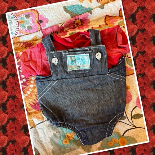 Lovely Vintage Cabbage Patch Kids Doll boy Denim Romper And Red Shirt Clothes