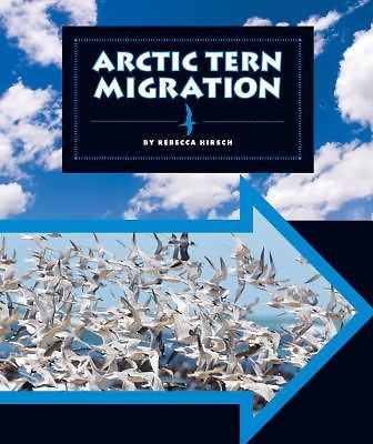 Arctic Tern Migration by Hirsch, Rebecca