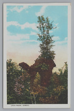 Postcard Hawaii Lava Freak  Hawaii National Park Moses Stationery Co C143