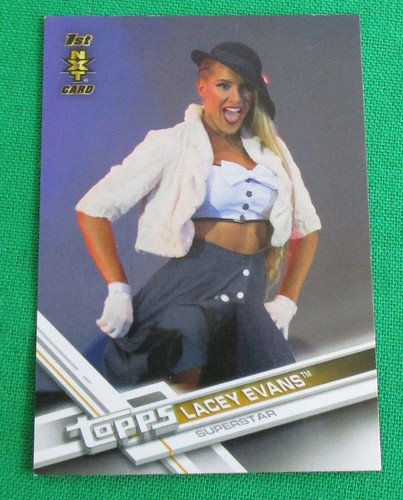WWE Mujeres Tarjetas Coleccionables Lucha Diva Luchadora Elige Tu Favorito - Imagen 4 de 57