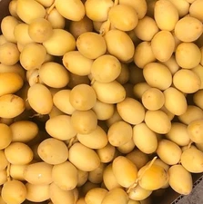 7 LB YELLOW BARHI DATRS ... CALIFORNIA CRISPY FRESH.