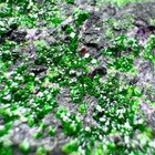 Bild 2 von 16