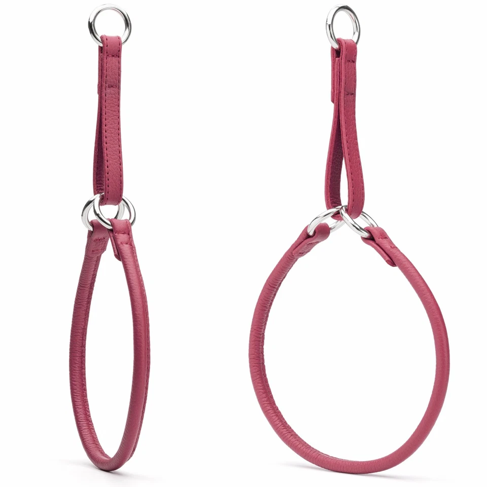 Collar Martingala Cuero Enrollado - Collar Gargantilla Suave para Perros Pequeños, Medianos a... Foto 4 de 4