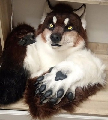 Wolf Fursuit Head Paws Tail Set Handmade Animal Cosplay Costume