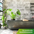 Bild 6 von 6