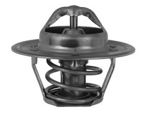 Thermostat Rover 25
