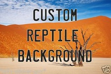 Reptile Habitat, Terrarium ANY IMAGE 21" x   Various Lengths