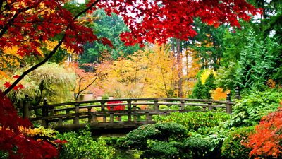 Landscape park plants fall leaves colorful bridge Custom Gaming Mat Desk