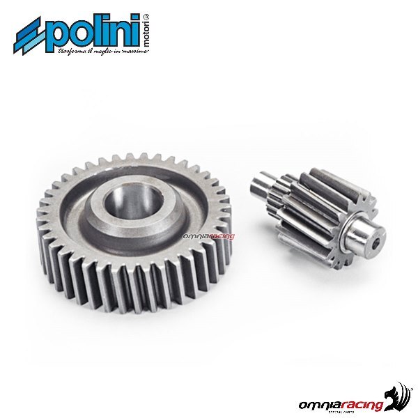 Polini Sekund?rzahnrad Z=15-39 f?r Honda SH150i <2012 | eBay