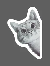 Cat Sticker Peeking Corner Play Waterproof