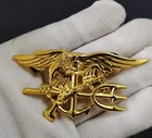 U.S. Navy SEALs Special Warfare insignia Badge - US NAVY SEAL TRIDENT BADGE PIN
