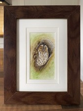 ORIGINAL (Not A print!) Framed Painting Tawny Owl by Lisa EVANS