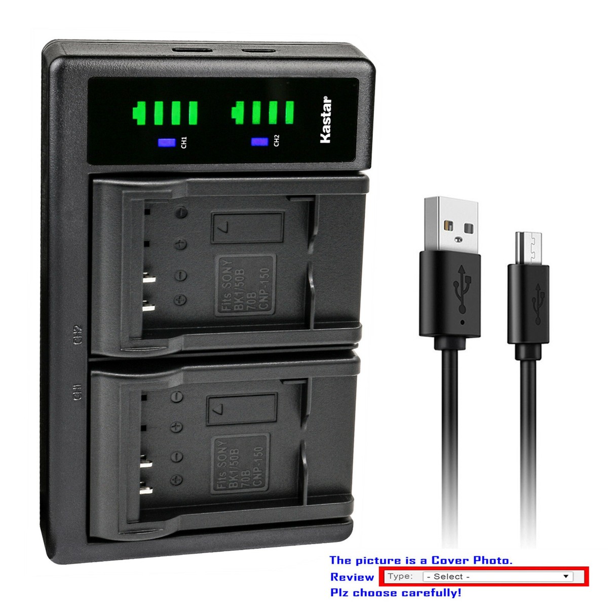 フル Kastar Battery LTD2 USB Charger for Pentax D-Li92 DLi92