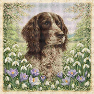 Deutscher Langhaar Zeiger Welpe Hund im Frühling. Kreuzstich gezählt