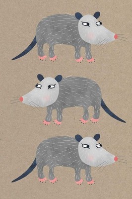 Notes: A Blank Sketchbook with Cute Possum Cover Art