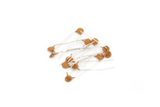Genuine Fender Replacement Guitar Parts - Capacitors .05uF 100V 20% - 12-Pack