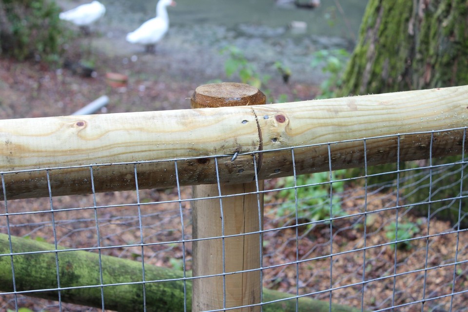 Round Fence Posts | Treated Timber | Multiple Sizes & Pack Quantities ...