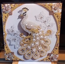 25cm x 25cm canvas with peacock design wall art with gem stones.