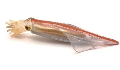Squid Animal Toy 5 Inch PVC Action Figure Doll Kids Toys Party Gifts