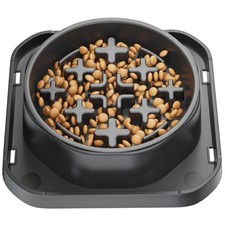 Best Slow Feeder Dog Bowls for Small Breed Anti-Slip Puzzle Bowl to Down Eating
