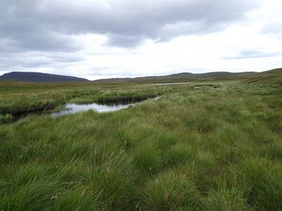 Foto A2 tiefe Büschelgräser am Daill River am Cape Wrath Loch Airigh na c2015