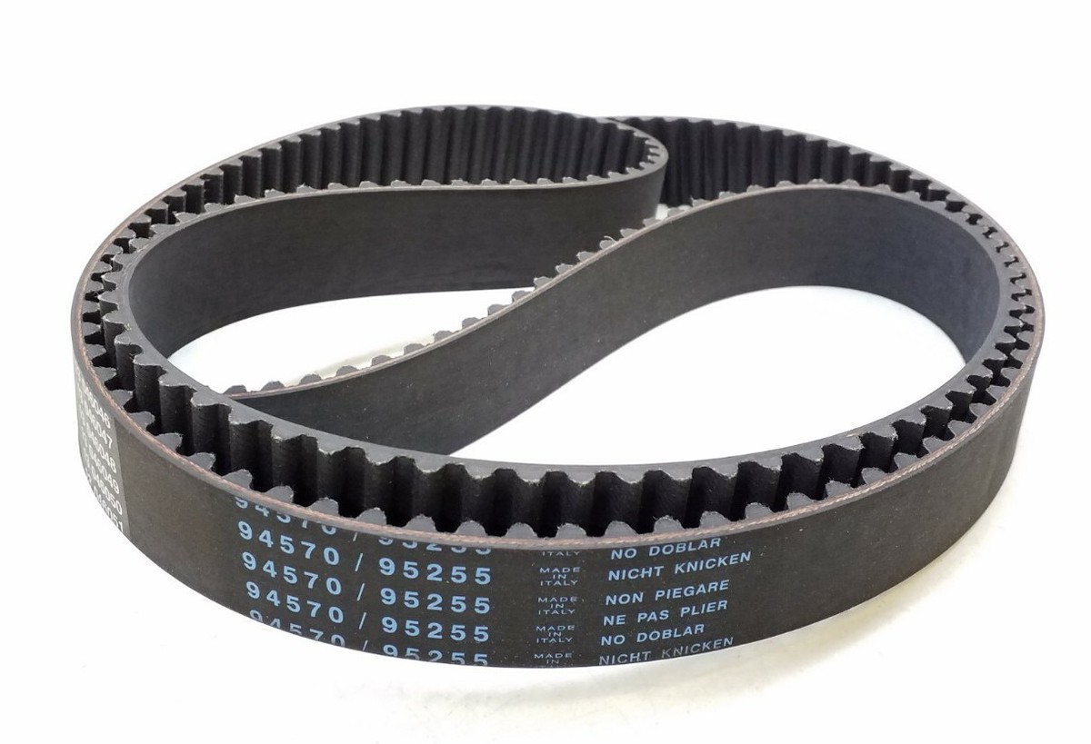 95255 Dayco Automotive Timing Belt Free Shipping Free 95255 Dayco Automotive Timing Belt Free Shipping Free