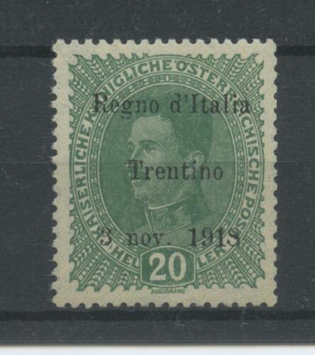 OCCUPATIONS TRENTINO 1918 20H LIGHT GREEN 3 * CERT. - Picture 1 of 1