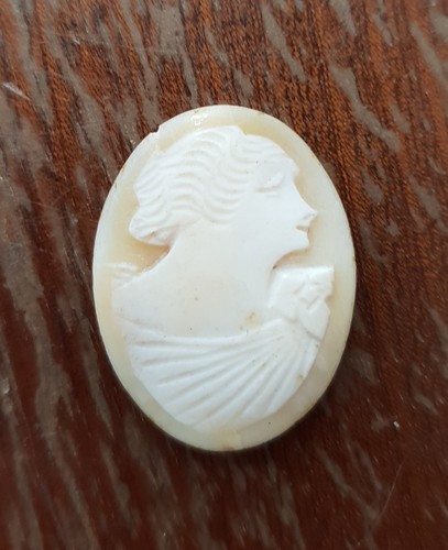 Camée Ancien En Coquillage – Fin, Profil à Sertir (bijou Ancien)