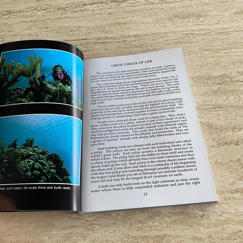 Marine Photography: Underwater Bahamas - Bob Friel - Diving / Coral Reef 1993 - Picture 14 of 20