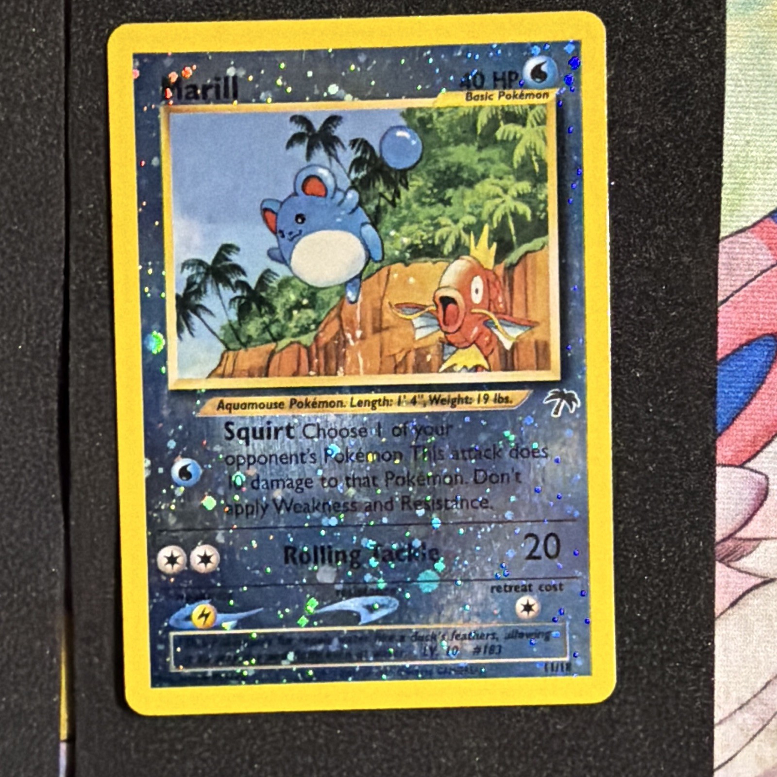 Pokémon Marill Southern Islands 11/18 Reverse Holo Promo Basic 40 HP English