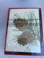 Papyrus Holiday Cards Boxed Envelopes, Wonderful Year to Come, Pinecones, NEW
