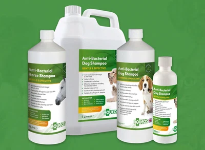 Aqueos Anti-Bacterial - Anti-Itch - Dog Shampoo - 200ml, 1L, 5L - Grooming