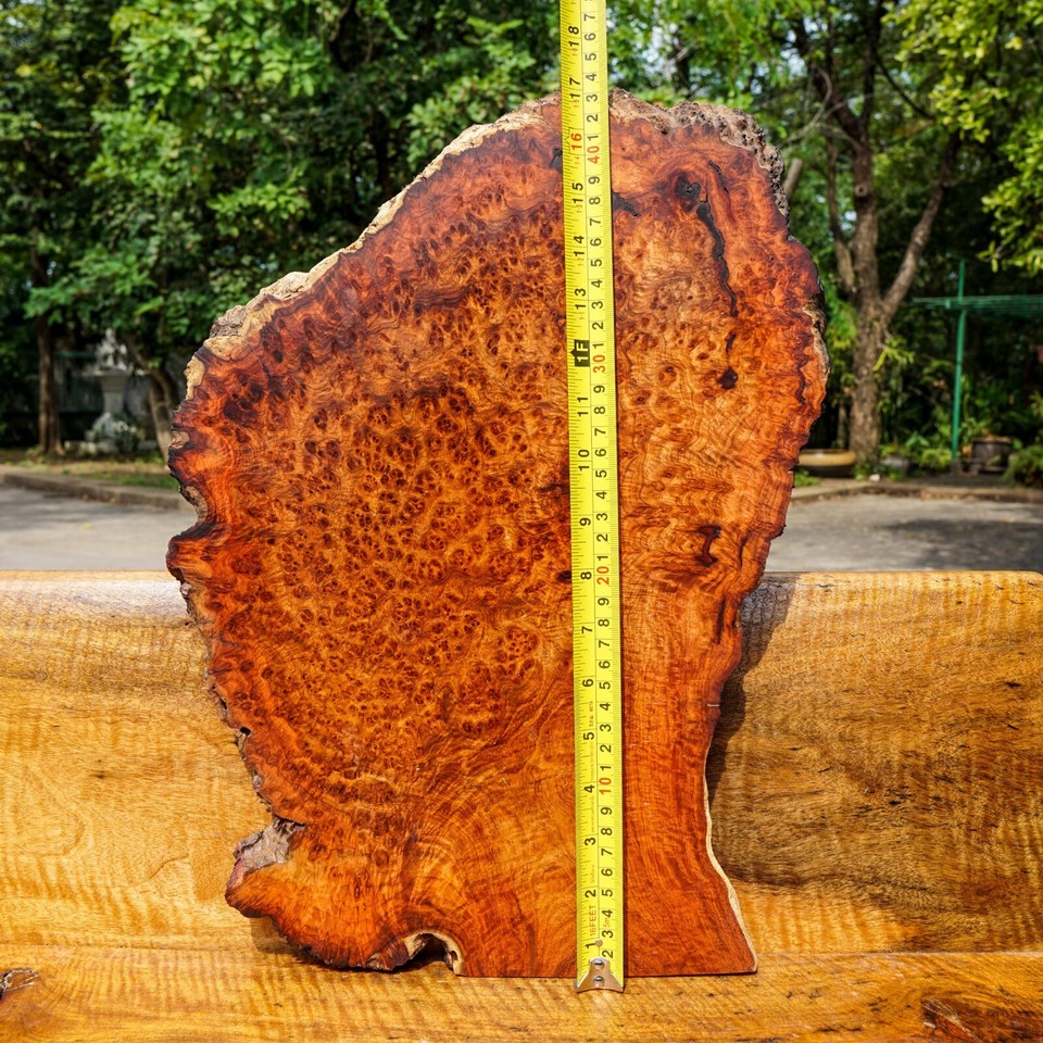 Rare! AMBOYNA BURL LUMBER Live Edge DIY Natural Slab Wood Resin Epoxy