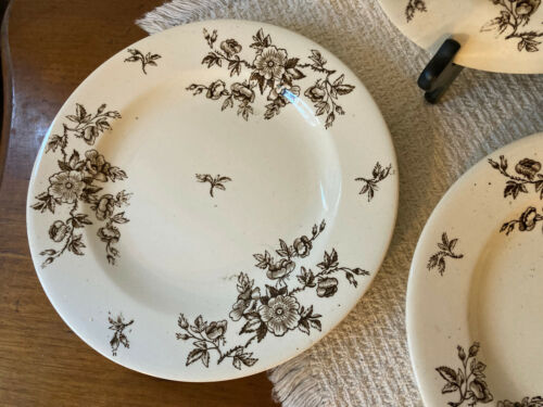 4 Antique 1884 Ashworth Bros Aesthetic Brown Transferware 8.5" Luncheon Plates - Picture 4 of 12