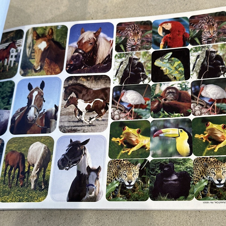860动物自然照片贴纸14张新品 — 第 4/4 张图片