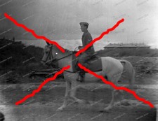 Negative-Oryol-Orel-Russia-34. Infantry Division Wehrmacht Horse 1942-149