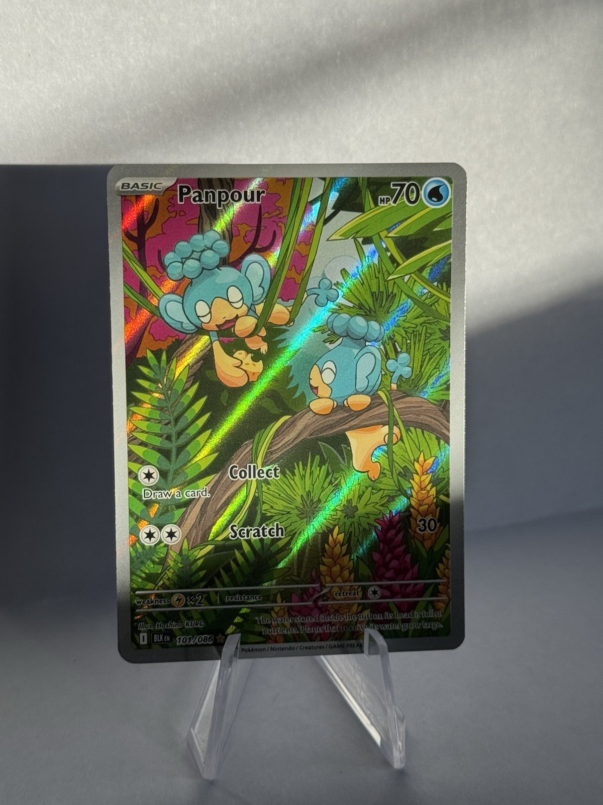 Pokémon TCG Panpour Black Bolt Illustration Card 101/086 English, Mint Condition