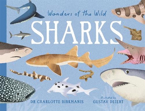 Wonders of the Wild: Sharks - Image 8