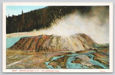#ad Postcard Wyoming Yellowstone National Park c1920 Sponge Geyser $3.50