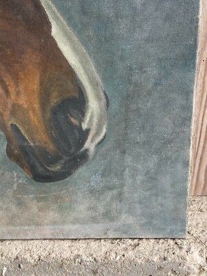 Deux études de tête de cheval et cinq études d'oeil - Louvre site des