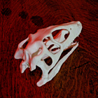 Foto 2 di 3