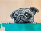 Pug puppy 20 x 24” oil painting on canvas  modern on canvas — photo 1
