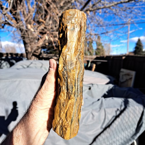 HIGHLY UNUSUAL PETRIFIED FOSSIL WOOD OPALIZED ORANGE SILVERLY WHITE BEAUTIFUL - Picture 8 of 19